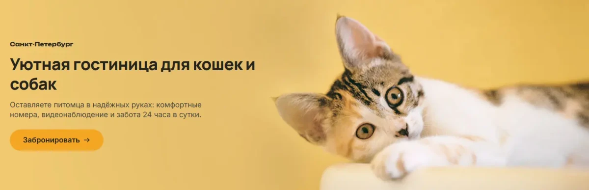 Скриншот проекта Мурлыка